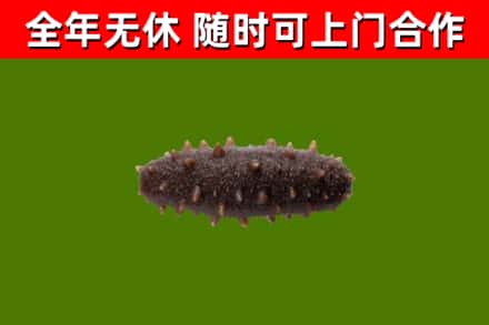 安宁烟酒回收干海参.jpg